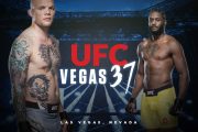 UFC Vegas 37 Odds, Picks, dan Pratinjau Taruhan